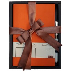 Набор подарочный А5 "MERCURY" (оранжевый ежедневник И ручка), Арт. 3-435/01-2 Bruno Visconti