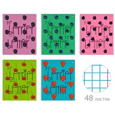 Тетрадь 48 листов А5+ на гребне "ягоды. Графика" 5 видов. Набор 5 штук. Альт