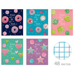 Тетрадь 48 листов А5+ на гребне "сладкое настроение" 5 видов. Набор 5 штук. Альт