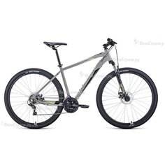Велосипед Forward Apache 29 2.0 Disc (2021) Серый 19 ростовка