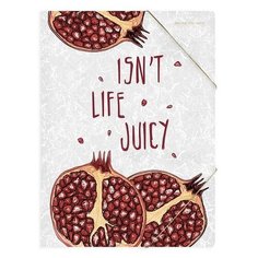 Папка файл на резинке "фрукты", А4 Bruno Visconti