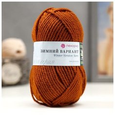 Пряжа "Зимний вариант" 95% имп. шерсть, 5% акрил объёмный 100м/100гр (338- Кирпичный) 1моток 1191355 Пехорка