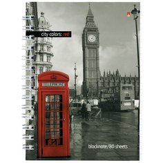 Блокнот Альт, А6 (100 х 134 мм) цветная 80л., Арт. 3-80-032, обложка в ассортименте