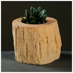 Кашпо «Пень». бежевое. 10 х 8.5 см 6488867 Хорошие сувениры