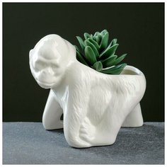 Кашпо фигурное "Шимпанзе" 13*8*11.5см 6116740 Take It Easy