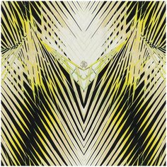 Roberto Cavalli Обои Roberto Cavalli №6 17002
