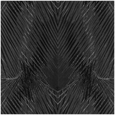 Roberto Cavalli Обои Roberto Cavalli №6 17005
