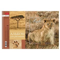 Альбом для рисования 24л А4ф перфорация на отрыв на спирали 5 диз. в блоке серия - BabyZoo- 067336 Hatber