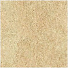 Roberto Cavalli Обои Roberto Cavalli №5 16045