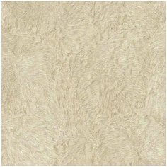 Roberto Cavalli Обои Roberto Cavalli №5 16051