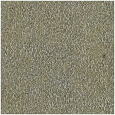 Roberto Cavalli Обои Roberto Cavalli №6 17086