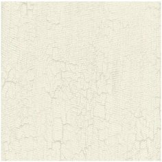 Roberto Cavalli Обои Roberto Cavalli №5 16018