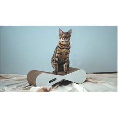 Когтеточка- лежанка из картона Tommy Cat Стик, белый