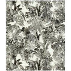 Roberto Cavalli Обои Roberto Cavalli №7 18006