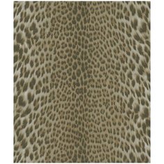 Roberto Cavalli Обои Roberto Cavalli №7 18026