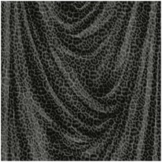 Roberto Cavalli Обои Roberto Cavalli №5 16112