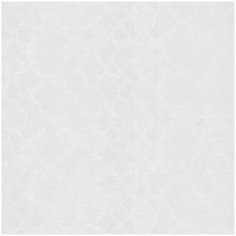 Roberto Cavalli Обои Roberto Cavalli №6 17094