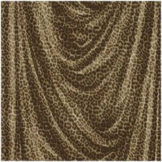 Roberto Cavalli Обои Roberto Cavalli №5 16111