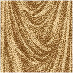 Roberto Cavalli Обои Roberto Cavalli №5 16109