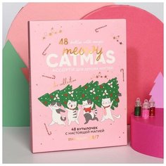 Beauty Fox Ассорти для декора ногтей Meowy catmas, 48 бутылочек