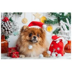 Рыжий кот Алмазная мозаика 30?40 см, с подрамником, с полным заполнением, 35 цв. «Новогодний щенок