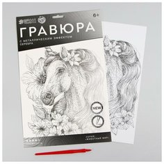 Школа талантов Гравюра «Единорог в цветах» A4, с металлическим серебряным эффектом