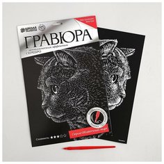 Школа талантов Гравюра «Британский кот» с металлическим эффектом «серебро» А4