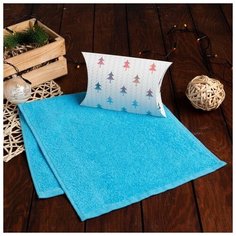 Экономь и Я Полотенце подарочное в коробке Экономь и Я, Вид 1, 30*60 см, цв. голубой, 100% хл, 320 г/м2