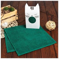 Экономь и Я Полотенце подарочное Экономь и Я «Котик» 30*60 см, изумрудный, 100% хл, 320 г/м2