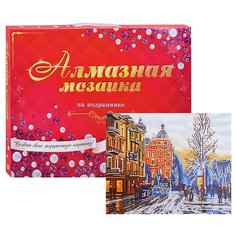 Алмазная мозаика 40х50 "Зима далекого прошлого" с подрс полн. зап. (24 цв (блест) Рыжий кот