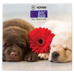 Весы напольные HOTTEK 962-016