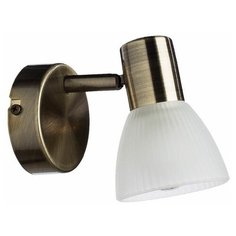 Спот Parry A5062AP-1AB (Artelamp)