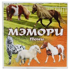 Настольная игра Задира-Плюс Мэмори Пони