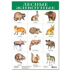 Плакат Дрофа-Медиа Лесные животные 1919