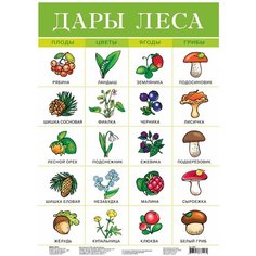 Плакат Дрофа-Медиа Дары леса 2093