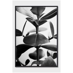 Черно- белый постер на стену для интерьера Postermarkt Листья растения №3, постер в черной рамке 30х40 см, постеры картины для интерьера в черной рамке