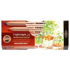 Карандаши цветные Карандаши цветные Koh- I- Noor "Jumbo Triocolor 3151" 12цв, трехгран утолщен неокр. корпус, картон