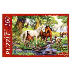 Пазл 160 элементов "Лошади на водопое Рыжий кот