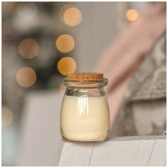 Ароматическая свеча Hygge Viva La Juicy, 100 мл. Candle Story