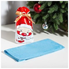 Экономь и Я Полотенце подарочное Экономь и Я «Дед Мороз» 30х60 см, цвет голубой, 100% хл, 320 г/м2