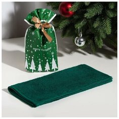 Экономь и Я Полотенце подарочное Экономь и Я Merry Christmas 30х60см, цвет изумрудный, 100% хл, 320 г/м2