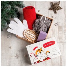 Этель Подарочный набор Этель "Тигруля на релаксе" полотенце 30х60 см и аксс (5 предм)