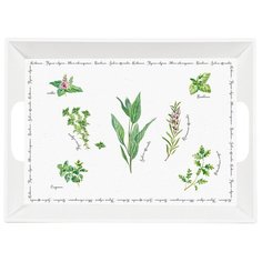 Пластиковый поднос с ручками Herbarium 51х38 см, цвет белый, Easy Life, EL-R0347_HERU