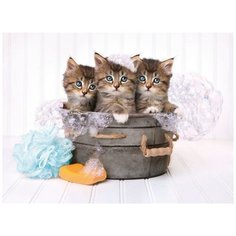 Пазл Clementoni 500 деталей: Банный день (котята)