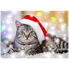 Алмазная мозаика Полосатый котенок в колпаке 30х40 см, 16 цв, частич. заполнение, с подр.