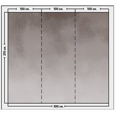 Фотообои / флизелиновые обои Компаньоны к обоям Листья пальмы золотисто- коричневые 3 x 2,7 м Photostena