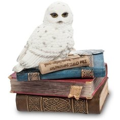 Шкатулка Сова на книгах Размер: 11*9*6,5 см Veronese