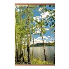 Гибкий настенный обогреватель Березки (для помещений) (60х105 см) Домашний очаг