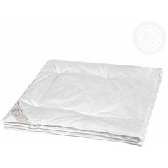 Одеяло "Silk Premium" 172*205 Артпостель