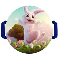 Санки- ледянки «Зайчик», d=40 см, цвета микс Сима ленд